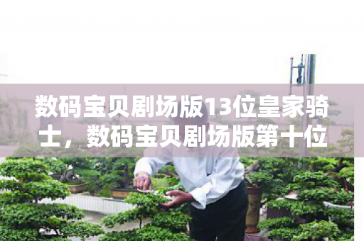 数码宝贝剧场版13位皇家骑士,数码宝贝剧场版第十位皇骑士,光辉与荣耀的传奇 数码宝贝剧场版13位皇家骑士,数码宝贝剧场版第十位皇骑士,光辉与荣耀的传奇