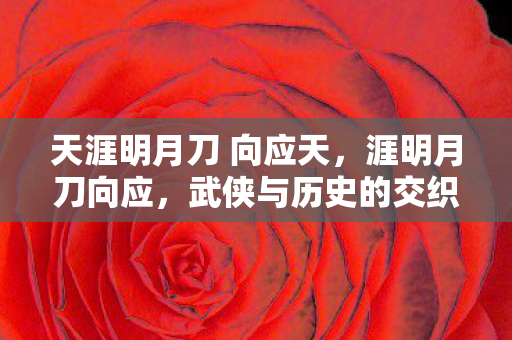 天涯明月刀 向应天，涯明月刀向应，武侠与历史的交织