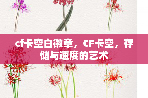 cf卡空白徽章，CF卡空，存储与速度的艺术