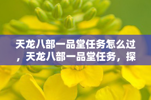 天龙八部一品堂任务怎么过，天龙八部一品堂任务，探索与挑战的江湖之旅