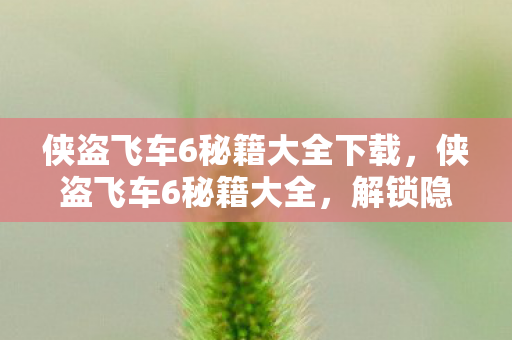 侠盗飞车6秘籍大全下载，侠盗飞车6秘籍大全，解锁隐藏功能，提升游戏体验