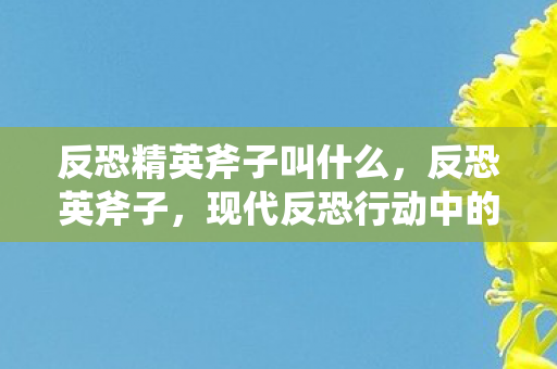 反恐精英斧子叫什么，反恐英斧子，现代反恐行动中的利器