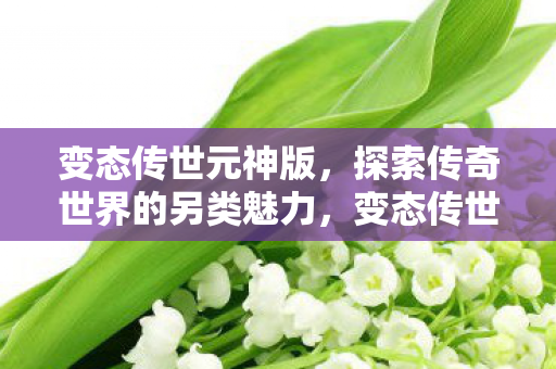 探索传奇世界的另类魅力图片