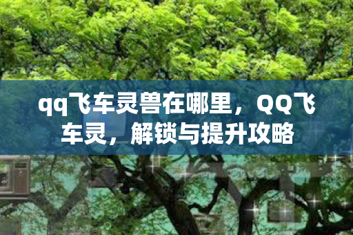 qq飞车灵兽在哪里图片