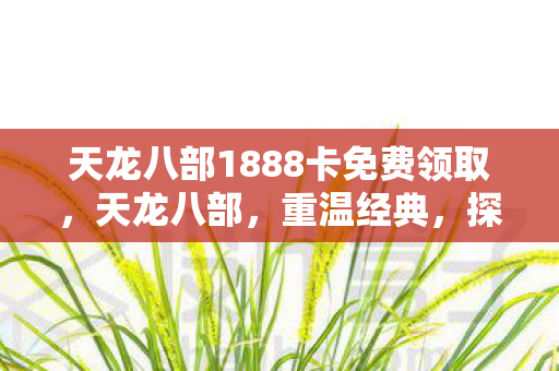 天龙八部1888卡免费领取，天龙八部，重温经典，探寻武侠世界中的英雄传奇