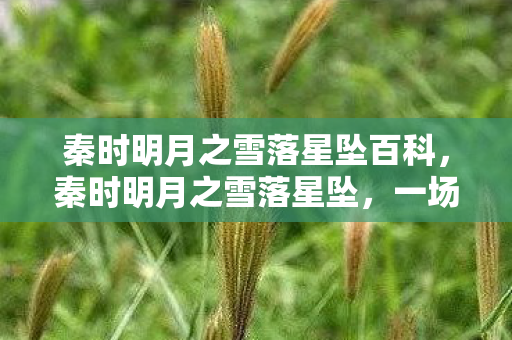 秦时明月之雪落星坠百科图片