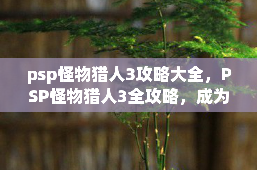 psp怪物猎人3攻略大全，PSP怪物猎人3全攻略，成为猎人的终极指南