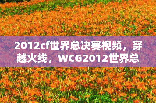 2012cf世界总决赛视频，穿越火线，WCG2012世界总决赛的传奇时刻