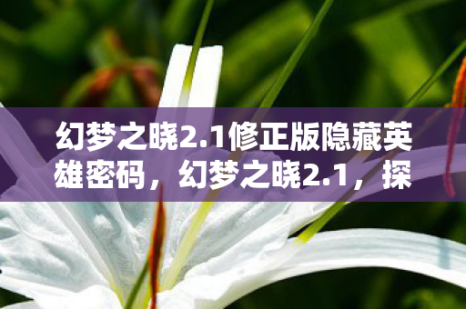 幻梦之晓2.1修正版隐藏英雄密码,幻梦之晓2.1,探索未知世界的奇幻之旅 幻梦之晓2.1修正版隐藏英雄密码,幻梦之晓2.1,探索未知世界的奇幻之旅