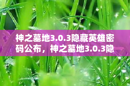 神之墓地3.0.3隐藏英雄密码公布，神之墓地3.0.3隐藏英雄密码揭秘