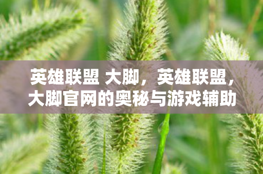 英雄联盟 大脚，英雄联盟，大脚官网的奥秘与游戏辅助工具的边界