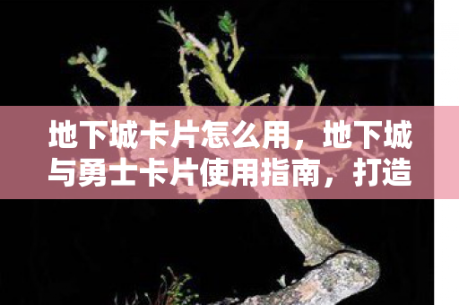 地下城卡片怎么用，地下城与勇士卡片使用指南，打造你的专属战斗助力