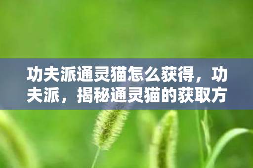 功夫派通灵猫怎么获得，功夫派，揭秘通灵猫的获取方式