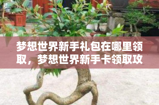 梦想世界新手礼包在哪里领取，梦想世界新手卡领取攻略，开启你的冒险之旅