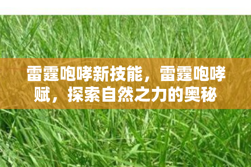 雷霆咆哮新技能，雷霆咆哮赋，探索自然之力的奥秘