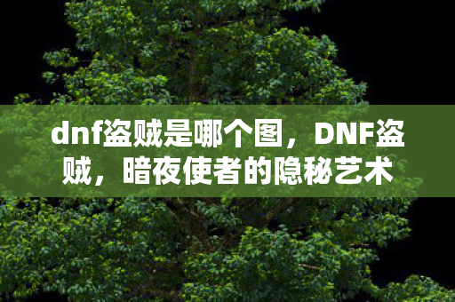dnf盗贼是哪个图，DNF盗贼，暗夜使者的隐秘艺术