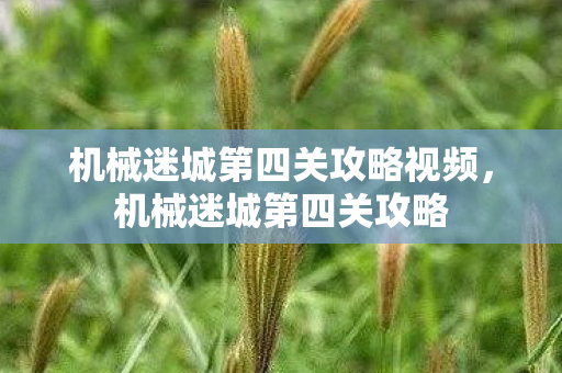 机械迷城第四关攻略视频，机械迷城第四关攻略