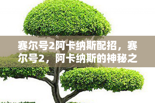 赛尔号2阿卡纳斯配招，赛尔号2，阿卡纳斯的神秘之旅