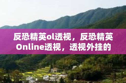 反恐精英ol透视,反恐精英Online透视,透视外挂的真相与游戏公平性 反恐精英ol透视,反恐精英Online透视,透视外挂的真相与游戏公平性