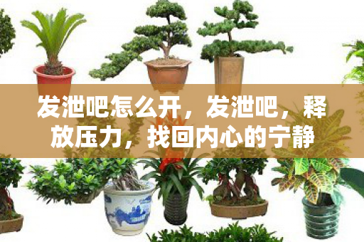 发泄吧怎么开，发泄吧，释放压力，找回内心的宁静