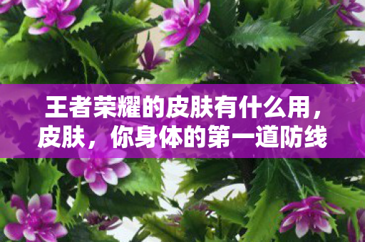王者荣耀的皮肤有什么用，皮肤，你身体的第一道防线