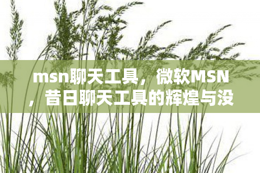 msn聊天工具，微软MSN，昔日聊天工具的辉煌与没落