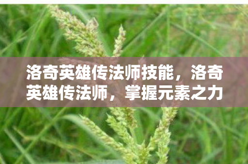 洛奇英雄传法师技能，洛奇英雄传法师，掌握元素之力的神秘存在