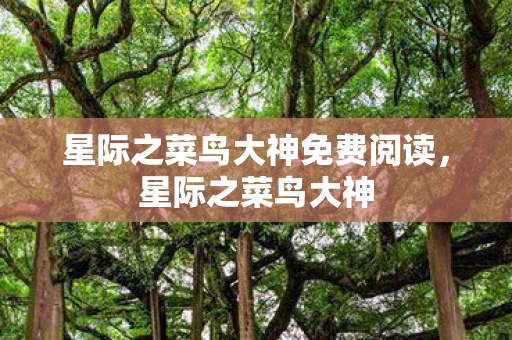 星际之菜鸟大神免费阅读，星际之菜鸟大神