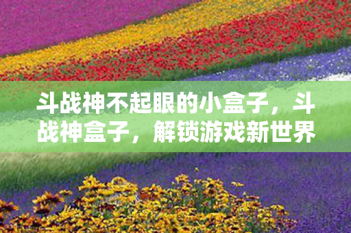 斗战神不起眼的小盒子，斗战神盒子，解锁游戏新世界的神秘钥匙
