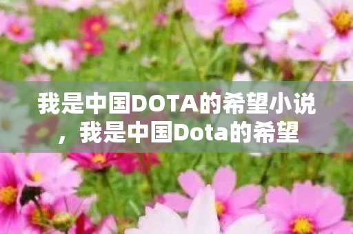 我是中国DOTA的希望小说，我是中国Dota的希望