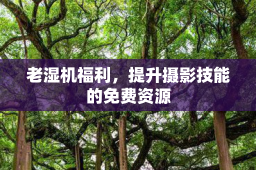 老湿机福利,提升摄影技能的免费资源 老湿机福利,提升摄影技能的免费资源