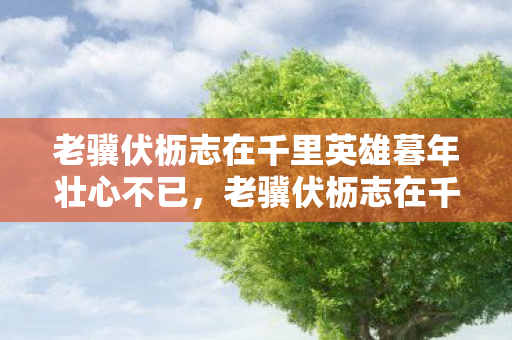 老骥伏枥志在千里英雄暮年壮心不已，老骥伏枥志在千里，英雄不朽的传奇