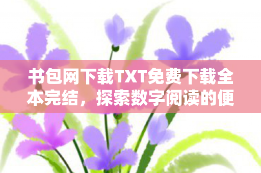 书包网下载TXT免费下载全本完结，探索数字阅读的便捷与乐趣