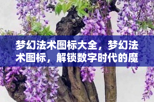 梦幻法术图标大全，梦幻法术图标，解锁数字时代的魔法密码