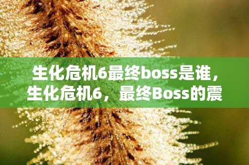 生化危机6最终boss是谁,生化危机6,最终Boss的震撼对决 生化危机6最终boss是谁,生化危机6,最终Boss的震撼对决