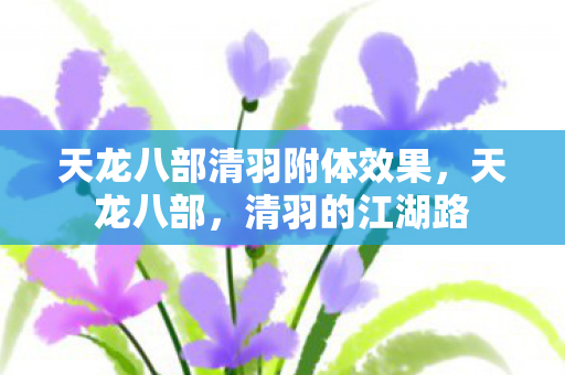 天龙八部清羽附体效果，天龙八部，清羽的江湖路