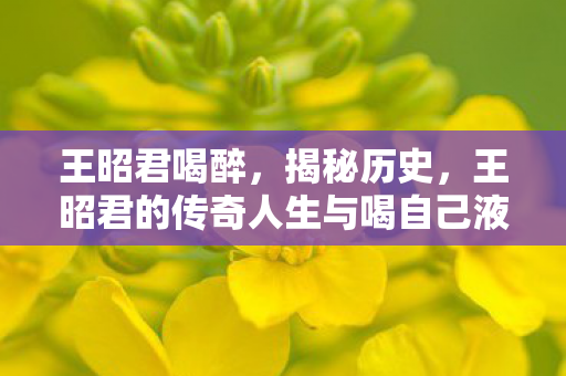 王昭君喝醉,揭秘历史,王昭君的传奇人生与喝自己液之谜 王昭君喝醉,揭秘历史,王昭君的传奇人生与喝自己液之谜
