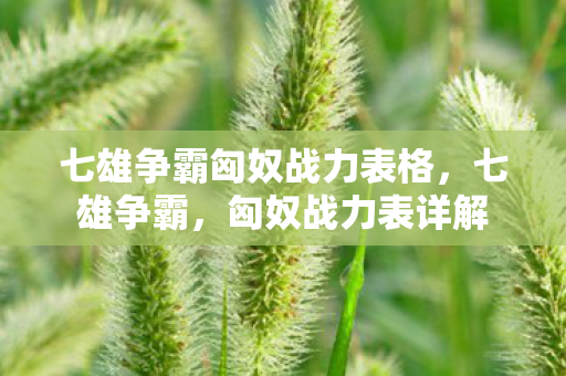 七雄争霸匈奴战力表格,七雄争霸,匈奴战力表详解 七雄争霸匈奴战力表格,七雄争霸,匈奴战力表详解