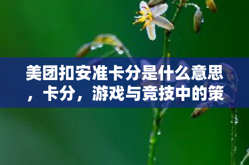 美团扣安准卡分是什么意思,卡分,游戏与竞技中的策略与技巧 美团扣安准卡分是什么意思,卡分,游戏与竞技中的策略与技巧
