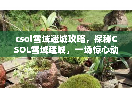 csol雪域迷城攻略,探秘CSOL雪域迷城,一场惊心动魄的冒险之旅 csol雪域迷城攻略,探秘CSOL雪域迷城,一场惊心动魄的冒险之旅