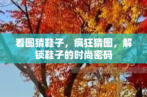 看图猜鞋子,疯狂猜图,解锁鞋子的时尚密码 看图猜鞋子,疯狂猜图,解锁鞋子的时尚密码