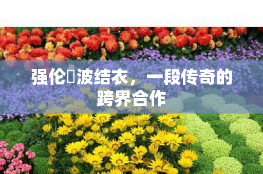 强伦姧波结衣,一段传奇的跨界合作 强伦姧波结衣,一段传奇的跨界合作