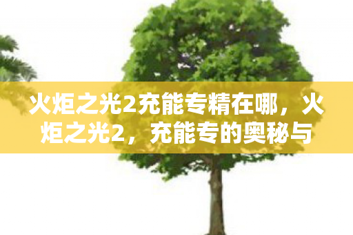 火炬之光2充能专精在哪，火炬之光2，充能专的奥秘与探索