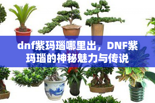 dnf紫玛瑙哪里出,DNF紫玛瑙的神秘魅力与传说 dnf紫玛瑙哪里出,DNF紫玛瑙的神秘魅力与传说