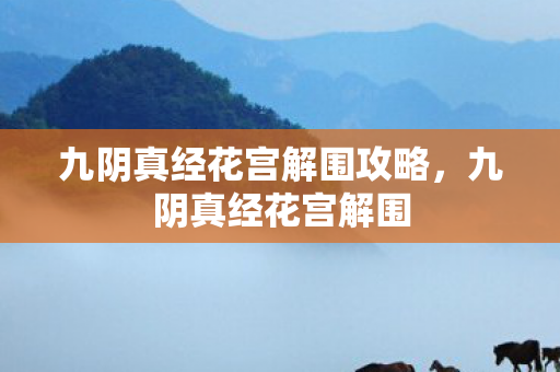 九阴真经花宫解围攻略,九阴真经花宫解围 九阴真经花宫解围攻略,九阴真经花宫解围