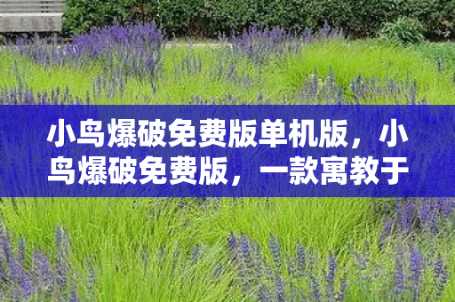 一款寓教于乐的休闲游戏图片