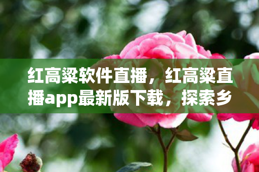 红高粱直播app最新版下载图片