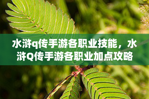 水浒Q传手游各职业加点攻略图片