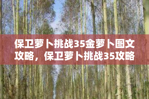 保卫萝卜挑战35金萝卜图文攻略图片