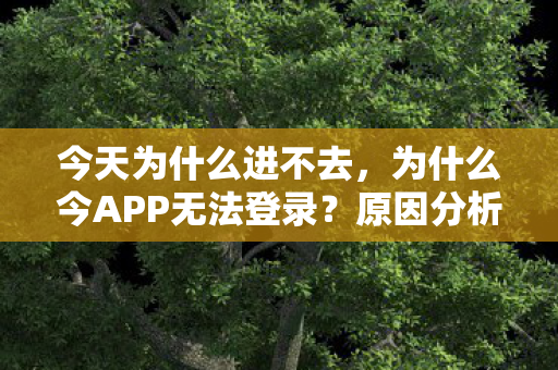 为什么今APP无法登录图片